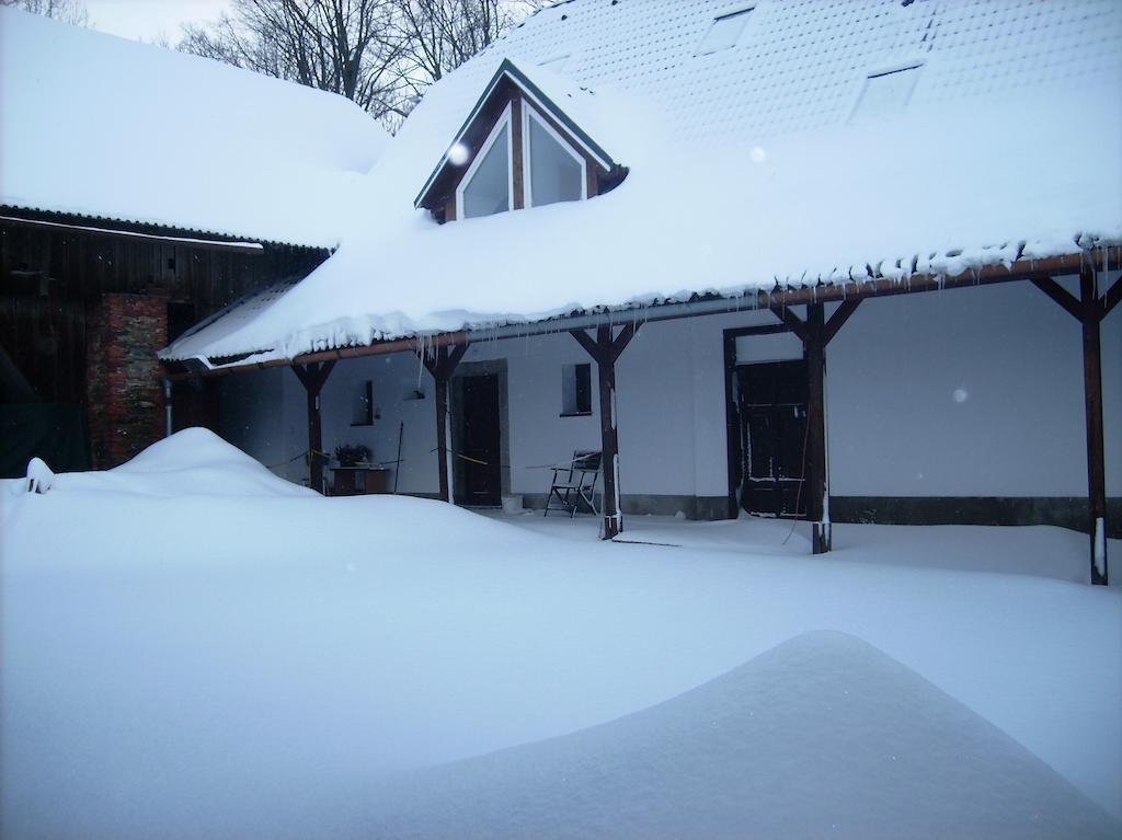 Penzion U Dvojice Nove Mesto na Morave Exterior foto