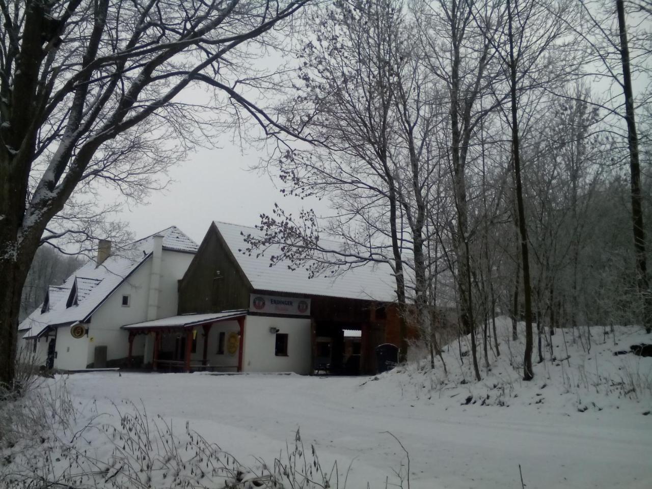 Penzion U Dvojice Nove Mesto na Morave Exterior foto